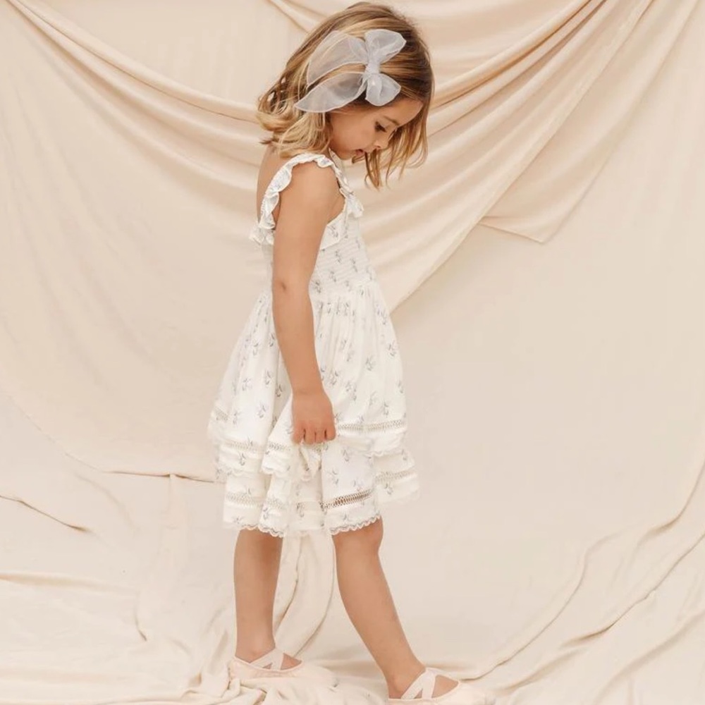 NWT Noralee Birdie Dress - cloud flora